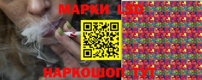 индика Абакан