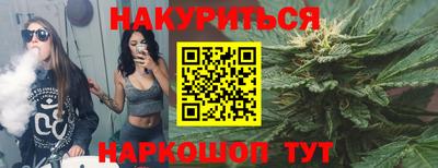 индика Абакан
