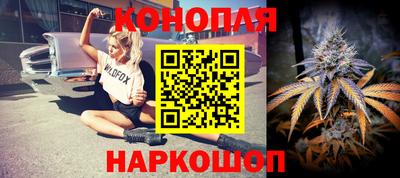 индика Абакан