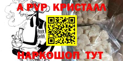 индика Абакан