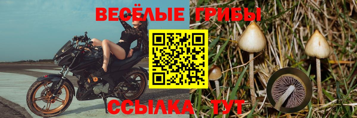 Галлюциногенные грибы Magic Shrooms  Галлюциногенные грибы Psilocybine cubensis  Вход с VPN  Амурск 